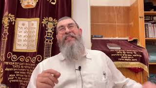 משפטים מסדר הפרשה המסביר את רצף ההלכות, #2 ר' יוסי פלטייל ת782