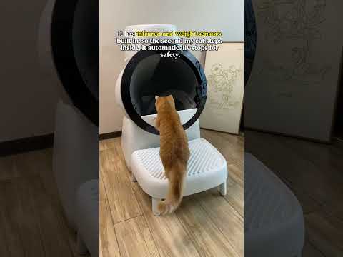 A self-cleaning litter box #catlink #automaticlitterbox