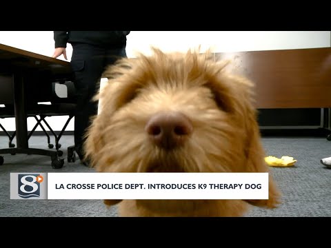 La Crosse Police Department introduces K9 therapy dog