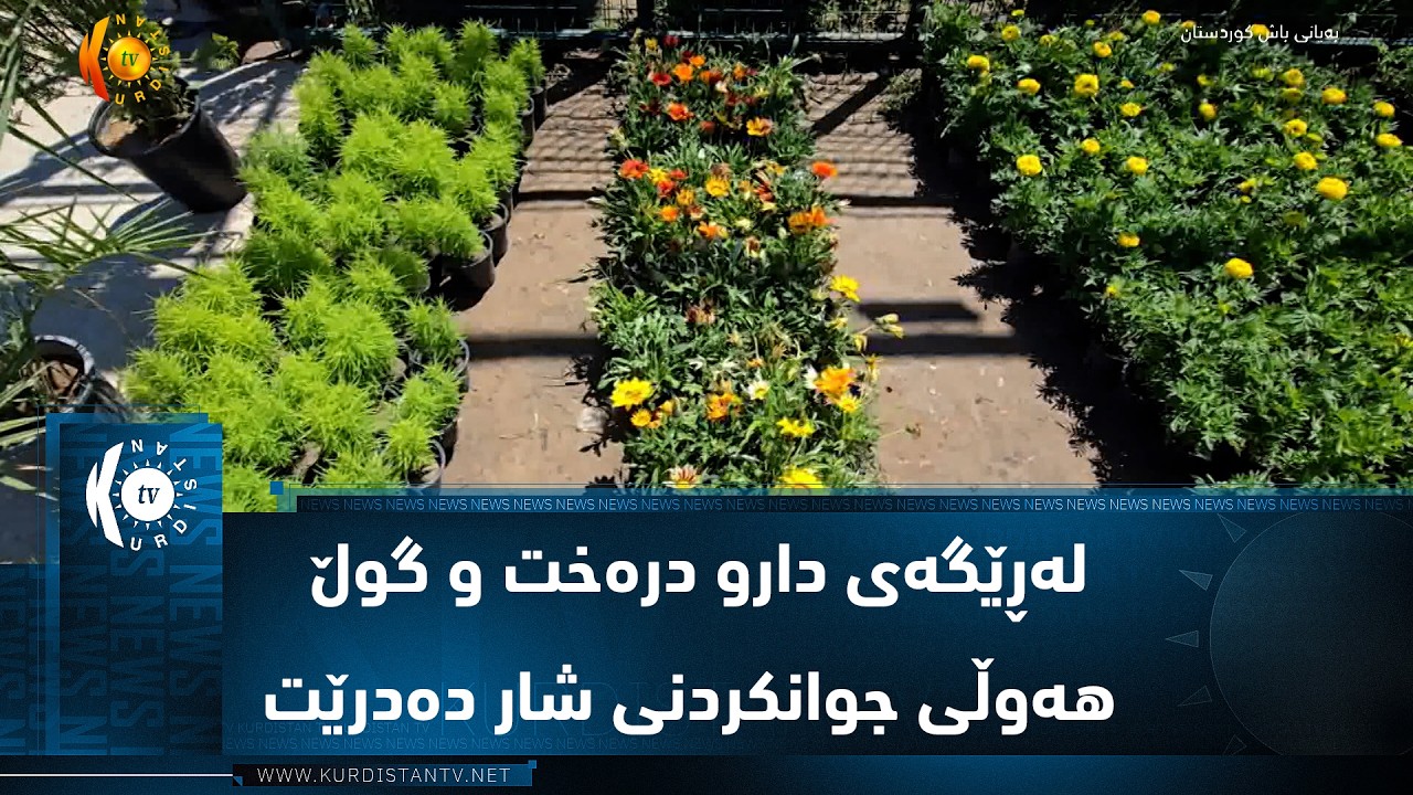 ڤیدیۆ | موسڵ  ..  لەڕێگەی دارو درەخت و گوڵ هەوڵی جوانکردنی شار دەدرێت