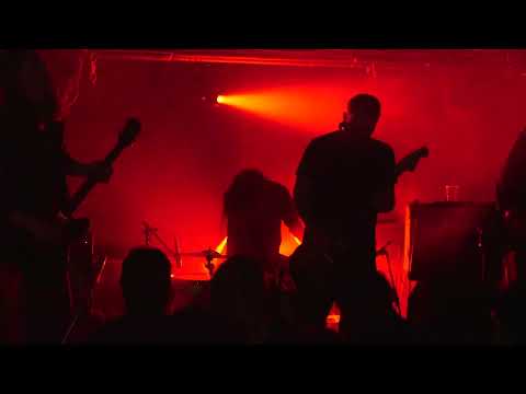 The Janitors - Live at the Peckham Audio (01/06/2024)