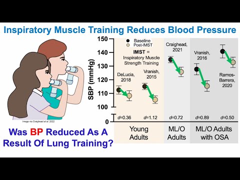 Reduced Blood Pressure: Was It Caused By Lung Muscle Training?