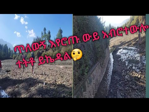 9 February 2023ጥለውኝ እየሮጡ ውይ  አብሮ ተውሎ ተትቶ ይኬዳል🤔