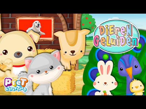 Dierengeluiden Boerderij | Dierengeluiden voor Peuters 2 Welk dier bij welk geluid? Dieren filmpjes