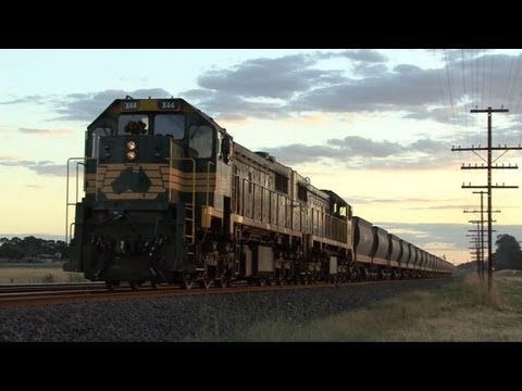 Trackside at Donnybrook with EMD powered locos: Australian Trains