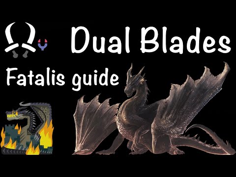 How to solo Fatalis with Dual Blades (head openings, builds, full hunt)