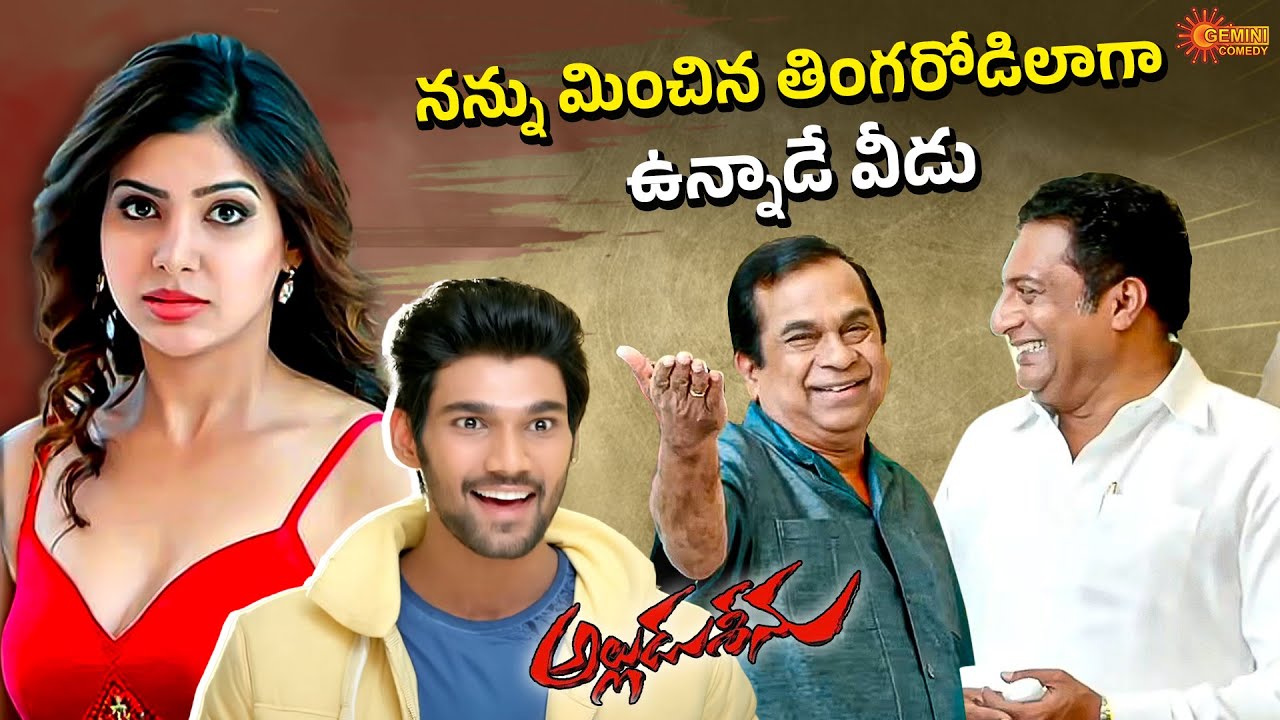 Ravi Babu – Brahmanandam Hilarious Comedy Scenes | Alludu Seenu | Telugu Comedy Scene 2