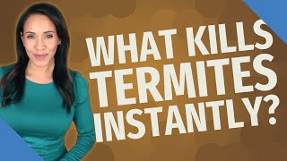 What kills termites instantly