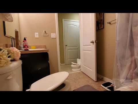 Lion King Everything the Light touches scene