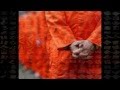 Makiza - En Paro 