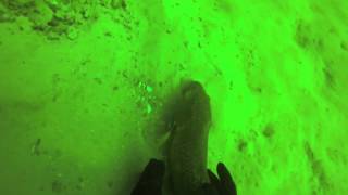 preview picture of video 'Lake Mohave AZ Cabinsite Cove Christmas Tree Dive 11/16/2013'