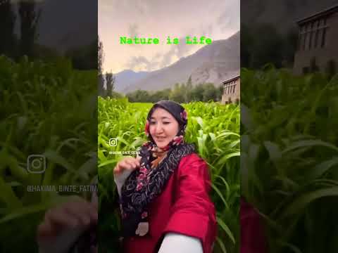 #village #life #ladakhi #kargil