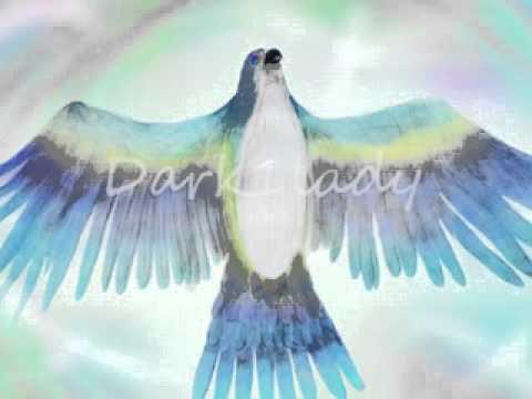 1074 Hinario - Fernando Guanabara - # 36 A Fiscalizacao