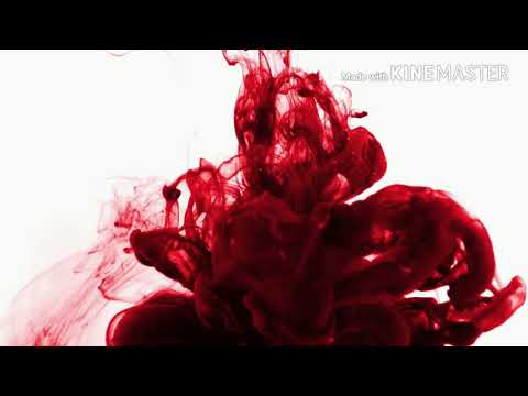 **NEW** Battle scars ( COVER / B-RAD )