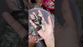 Download lagu hasil berburu di laut yutuk ny full telur 😋 #yutuk #undurundurlaut #laut mp3