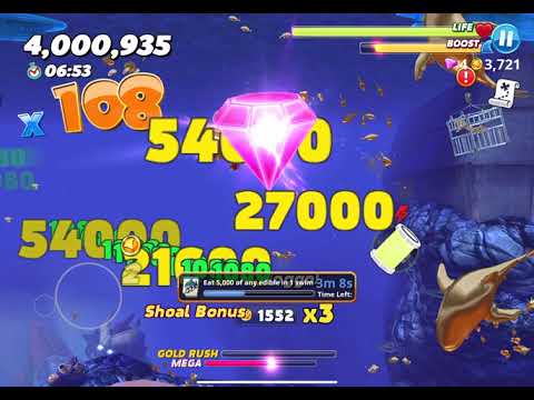 Hungry shark world with meltdown