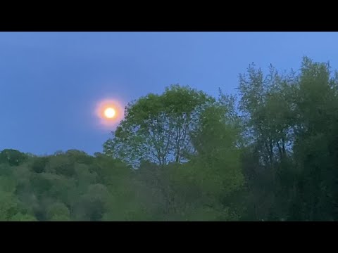 Pink Moon appears over Tennessee