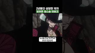 원피스) 2년동안 성장한 제자 보러온 참스승 미호크