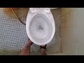 1990 Armitage Shanks Magina toilet on a Low Level Techplas Cistern