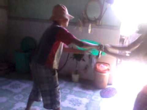 The avengers : Captain America vs Thor in Viet Nam