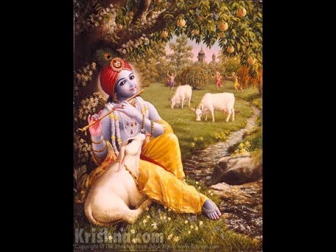 Srimad Bhagavatham 4.12.13 - Feb 25, 2019 - Krishna Gaur Prabhuji