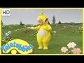 Teletubbies Tweet Tweet Full Episode