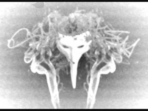 Smoke M - Weinregal (V.O.I.D. Beat)