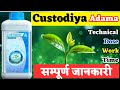 Custodia Fungicide Adama Benefits Of Custodia Fungicide TfarmingGyan