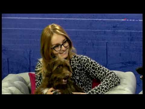 Dunavsko popodne 08.4 - gosti Prihvatilište za životinje "Dobra nada"