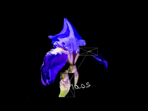 Chaos (from C’est Beau) - Official Visualiser