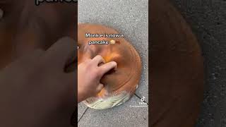 Cover art for WILL MONKEE LIVE????!!!!!