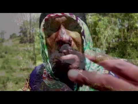 Voltaire Gliffood and  35 Zile Ile Dife 'Konnen Sans Yon Simido