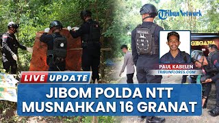 Sebanyak 16 Granat di Flores Timur NTT Dimusnahkan secara Bertahap oleh Tim Penjinak Bom Polda NTT