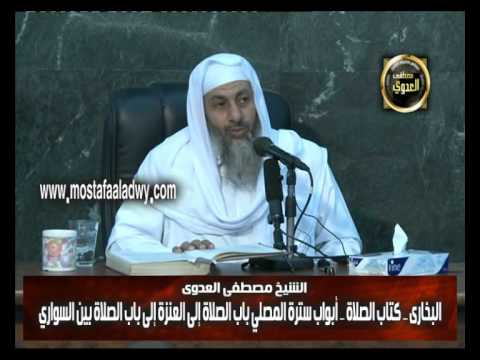  البخاري (94) ” الصلاة بين السواري في غير جماعة ” كتاب الصلاة باب (93-97) 