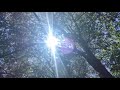 Roger & Brian Eno – Spring Frost (Official Music Video) - Deutsche Grammophon - DG Roger & Brian Eno – Spring Frost (Official Music Video)