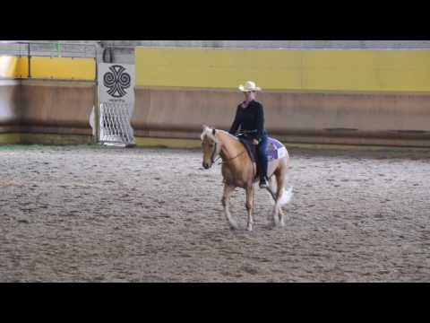 WALK E TROT ALL AGES HORSEMANSHIP. IAF 7038