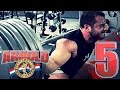Lorenzo Becker - Road To Arnold Classic / Ep5