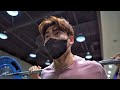 영상 배워봤습니다 (모티베이션 주의)