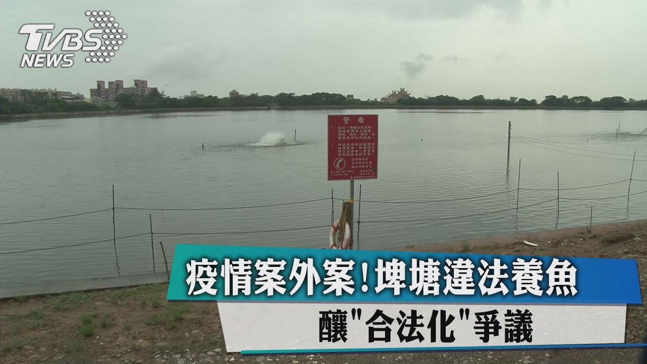 疫情案外案!埤塘違法養魚 釀「合法化」釀爭議