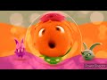 Sunny Bunnies Amazing Special Effects Grid Fish Eye And Mirror