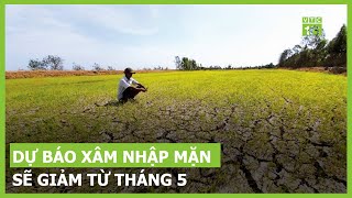 Dự báo xâm nhập mặn sẽ giảm từ tháng 5 | VTC16