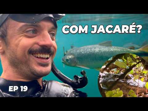 Isso é Bonito: Flutuação no Rio Formoso e 7 Cachoeiras num único dia