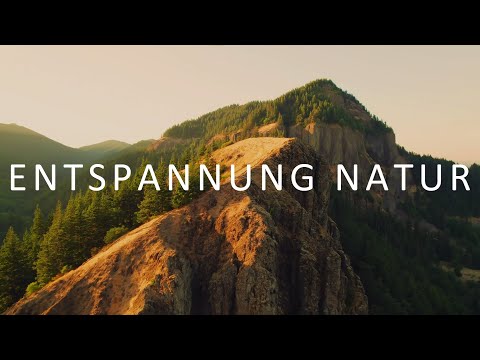 Entspannungsmusik Natur | Naturgeräusche & Klavier für Tiefenentspannung & Stressabbau