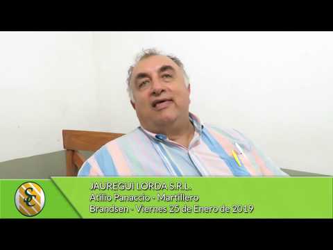 25-1-19 - Atilio Panaccio - Martillero - Jauregui Lorda S.R.L. - Brandsen