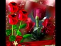 Happy Birthday To You My Wonderful Rose