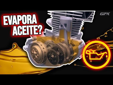 Porque mi Moto Consume ACEITE en su MOTOR?