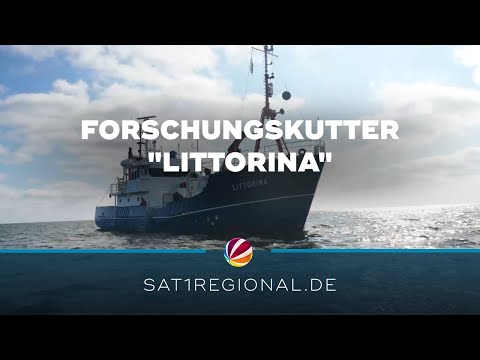 Tauchausbildung auf dem Forschungskutter „Littorina“