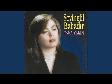 Video Yükleniyor...