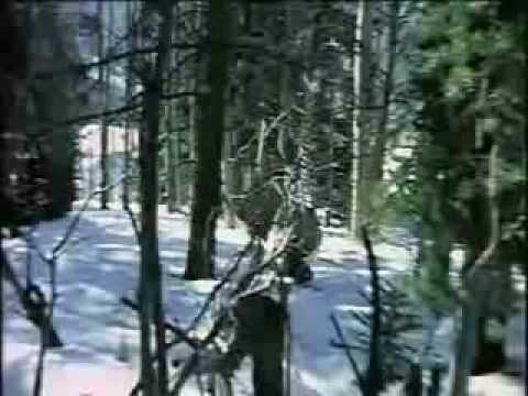 4ernila - Знай, я не хочу