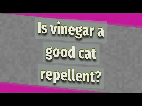 Is vinegar a good cat repellent?